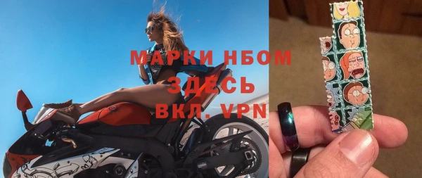 прущие грибы Армянск