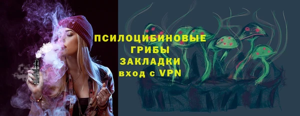 прущие грибы Армянск