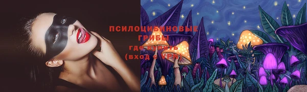 прущие грибы Армянск