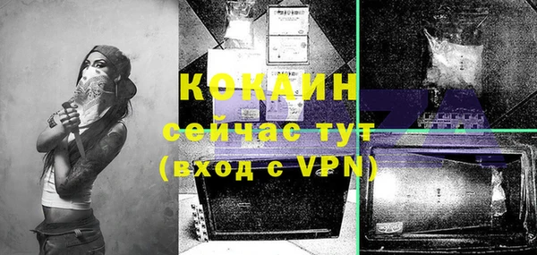 прущие грибы Армянск