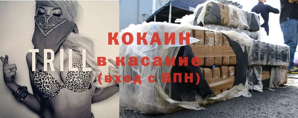 гидра Аркадак