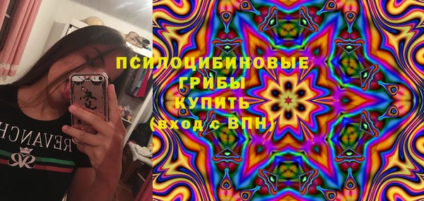 прущие грибы Армянск